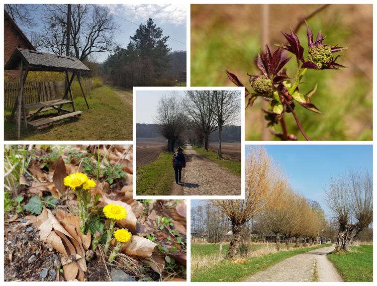 Wandern auf frühlingshaften Wegen, das geht auch in kleiner Gruppe zu zweit.